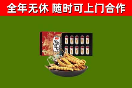 定安回收冬虫夏草价格